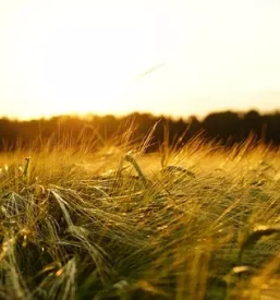 Izletniska kmetija in rafting kostel kocevje okolica