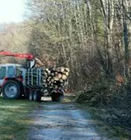 Storitve s kmetijsko in gozdarsko mehanizacijo kocevje