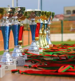 Ugodni pokali in medalje slovenija