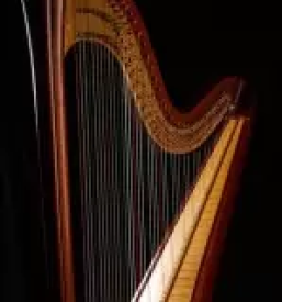 Vpis v glasbeno solo ljubljana