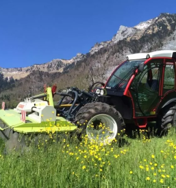 Green climber kosilnica slovenija