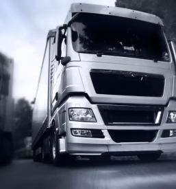 Hitri prevozi tovora stajerska in slovenija