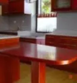 pulti kerrock osrednja slovenija