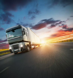 Poceni mednarodni transport Štajerska