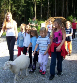 Pocitnice za otroke savinjska