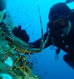 Potapljaski tecaj ssi obala istra