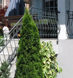 Rocno kovani predmeti v sloveniji