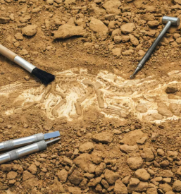 Ugodna arheoloska izkopavanja v sloveniji