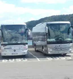 Vip prevozi z kombijem po sloveniji in evropi