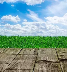 Vzdrzevanje zelenih povrsin lendava