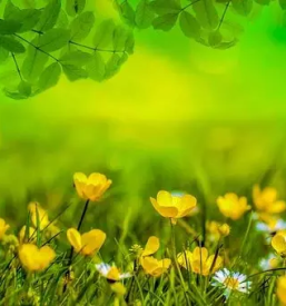 Vzdrzevanje zelenih povrsin lendava