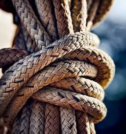 Izpit za coln slovenija