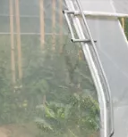 Kvalitetni rastlinjaki slovenija