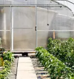 Kvalitetni rastlinjaki slovenija