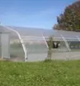 Kvalitetni rastlinjaki slovenija