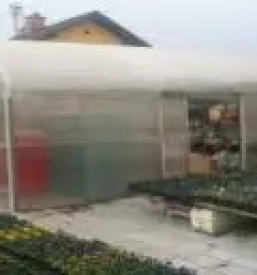 Kvalitetni rastlinjaki slovenija