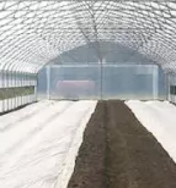 Kvalitetni rastlinjaki slovenija