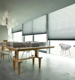 Plise zavese goriska