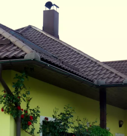 Plocevinasta kritina slovenija