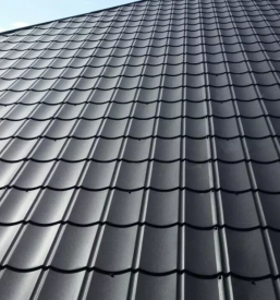 Plocevinasta kritina slovenija