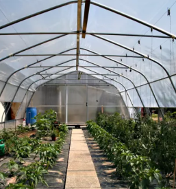 Postavitev rastlinjakov slovenija