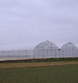 Postavitev rastlinjakov slovenija