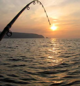 Prevoz z barko obala