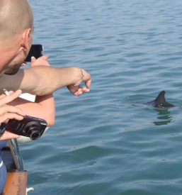 Prevoz z barko obala