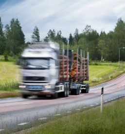 Prevozi lesa po Evropi