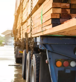 Transport lesa po Evropo