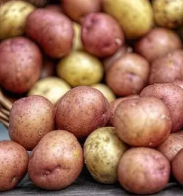 Domač krompir prodaja