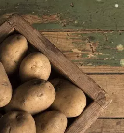 Krompir Murska Sobota