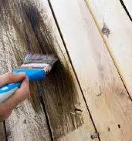 Kje kupiti lak za pohištvo