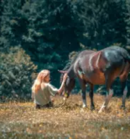 Turisticna kmetija celje in okolica