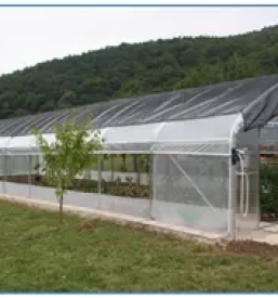 Ugodni rastlinjaki v sloveniji