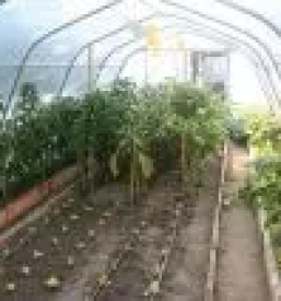 Ugodni rastlinjaki v sloveniji