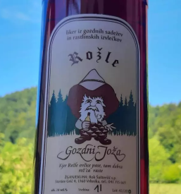 Domača žganjekuha osrednja slovenija