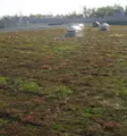 Gradnja skladiščnih, proizvodnih in poslovnih objektov na ključ Slovenija