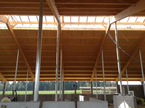 Lesene skeletne hiše in lesena gradnja v Sloveniji