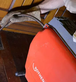 Odmasevanje kuhinjskih odtokov goriska