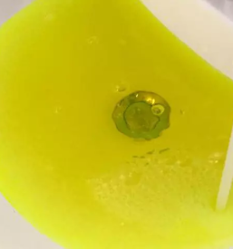 Odmasevanje kuhinjskih odtokov obala