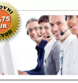 Prevajalske storitve