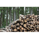 BIOMASA TRSTENIK D.O.O.