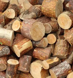 Trzenje biomase gorenjska