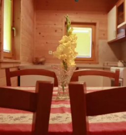 Ugodni apartmaji pomurje