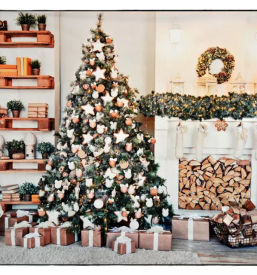 Ugodno fotografiranje dogodkov stajerska