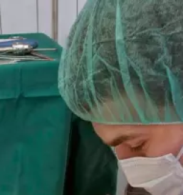 Deratizacija in dezinfekcija maribor in okolica