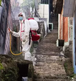 Deratizacija in dezinfekcija maribor in okolica