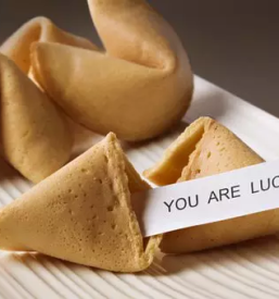 Dobra kitajska restavracija stajerska