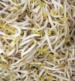 Dobri kalcki v sloveniji